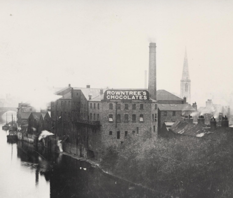 A group of daffodils