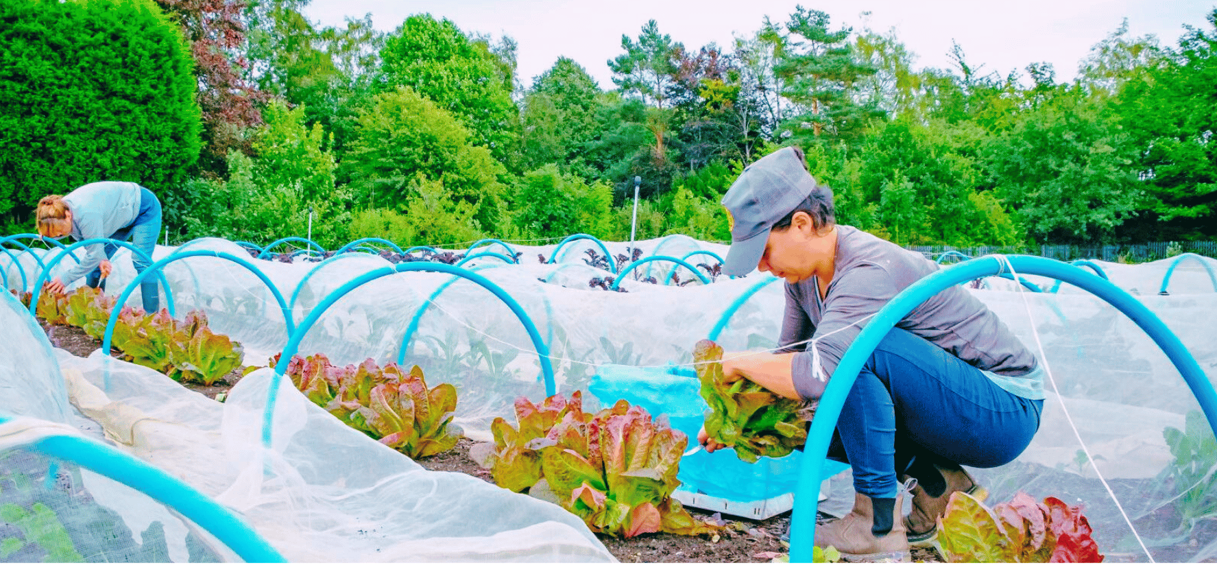 Members of Kindling Trust at Kindling Farm. Picture: Kindling Trust